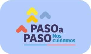 Los protocolos de la fase 2 que comienza a regir este jueves para la Región Metropolitana 2 protocolo nacional modo covid