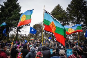 mapuches